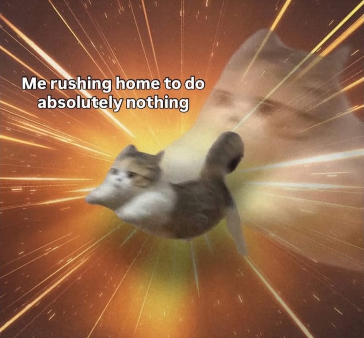 Respectful Memes (@respectfulmemes) on Twitter photo 