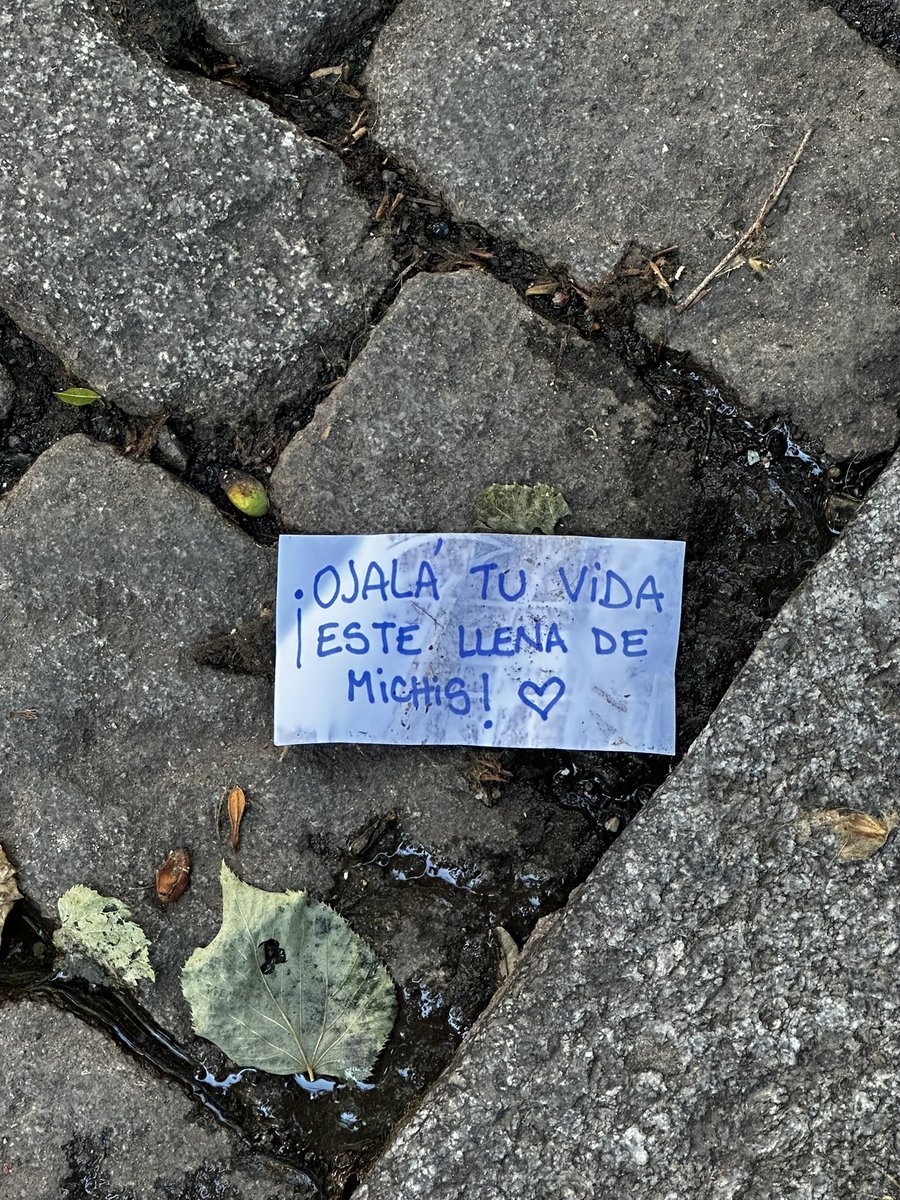 cuspiderosa🌈 tweet media