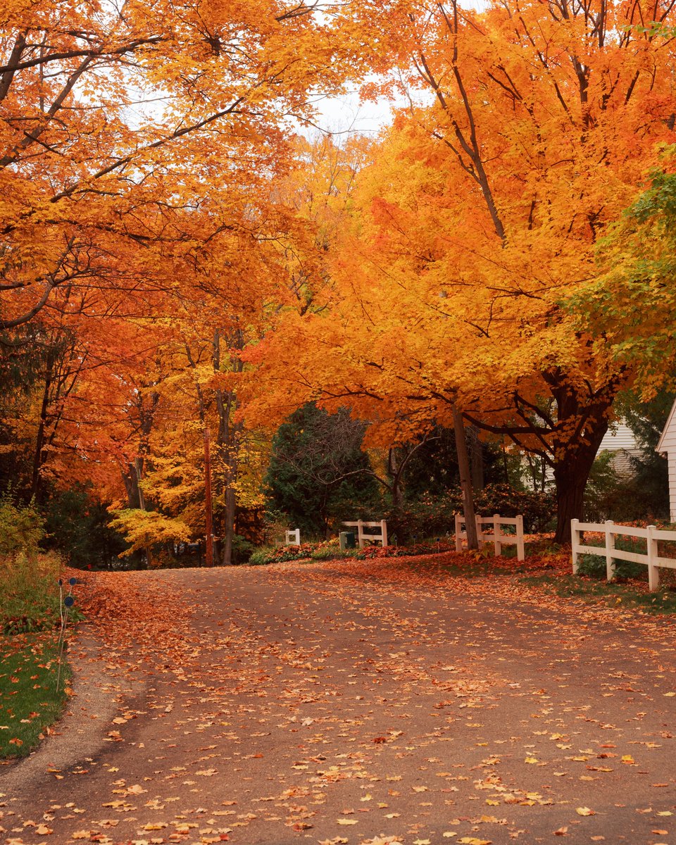 Photos I took yesterday