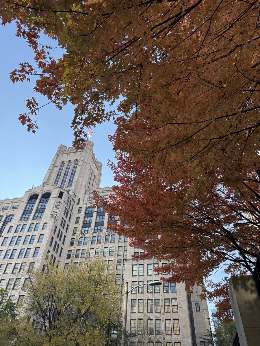 Fall colors are so pretty!