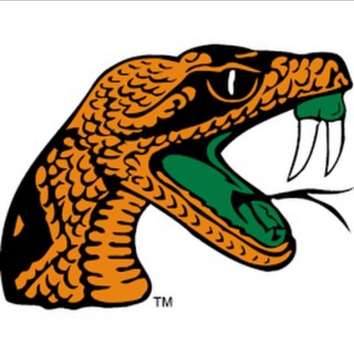 Blessed to receive an offer from Florida A&amp;M University 🧡💚