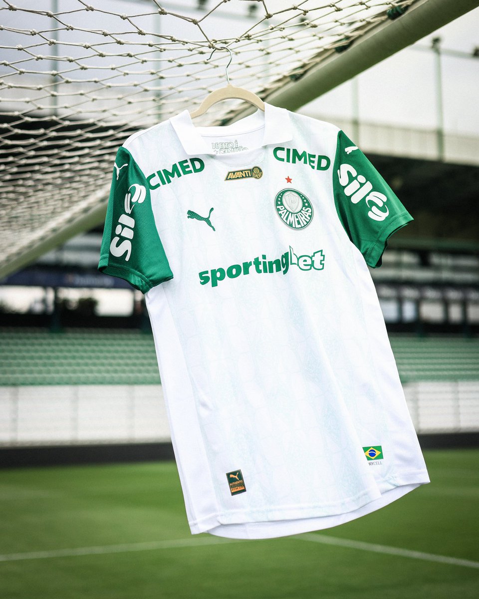 Palmeiras's tweet image. Manto preparado para mais 90 minutos 💪