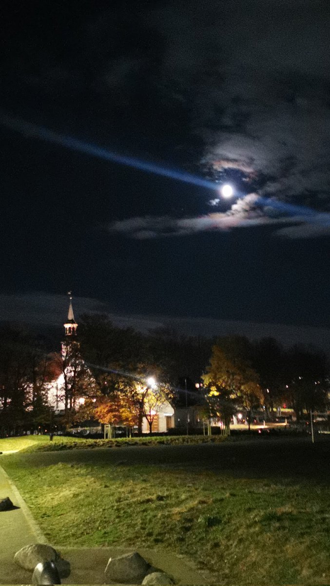 Knut36_1's tweet image. #trondhjem #lade 😍