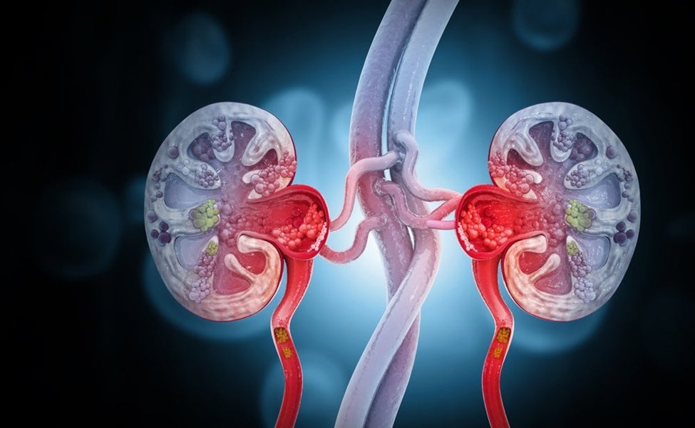 cardiomet_CE's tweet image. 1) Welcome to a new #accredited #tweetorial from @cardiomet_ce and @ckd_ce, addressing Phase 3 data from #ESC2025 on the first major advancement in #hypertension therapy in 20 years! We&apos;re talking about #aldosterone synthase inhibitors #ASI for difficult-to-control #HTN.