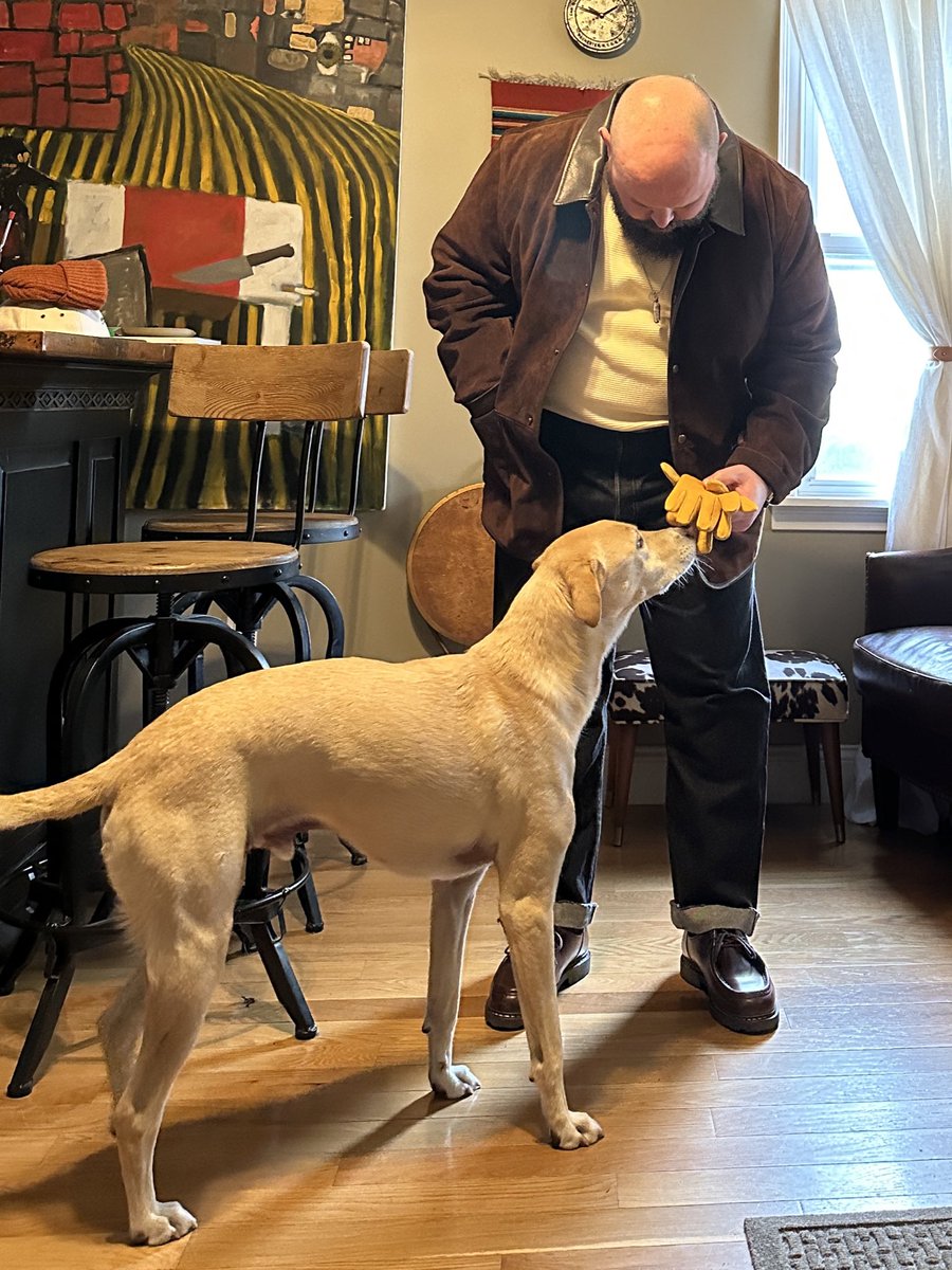 DavidLaneDesign's tweet image. Suede 👀👀🫠 and Bert. 🐾