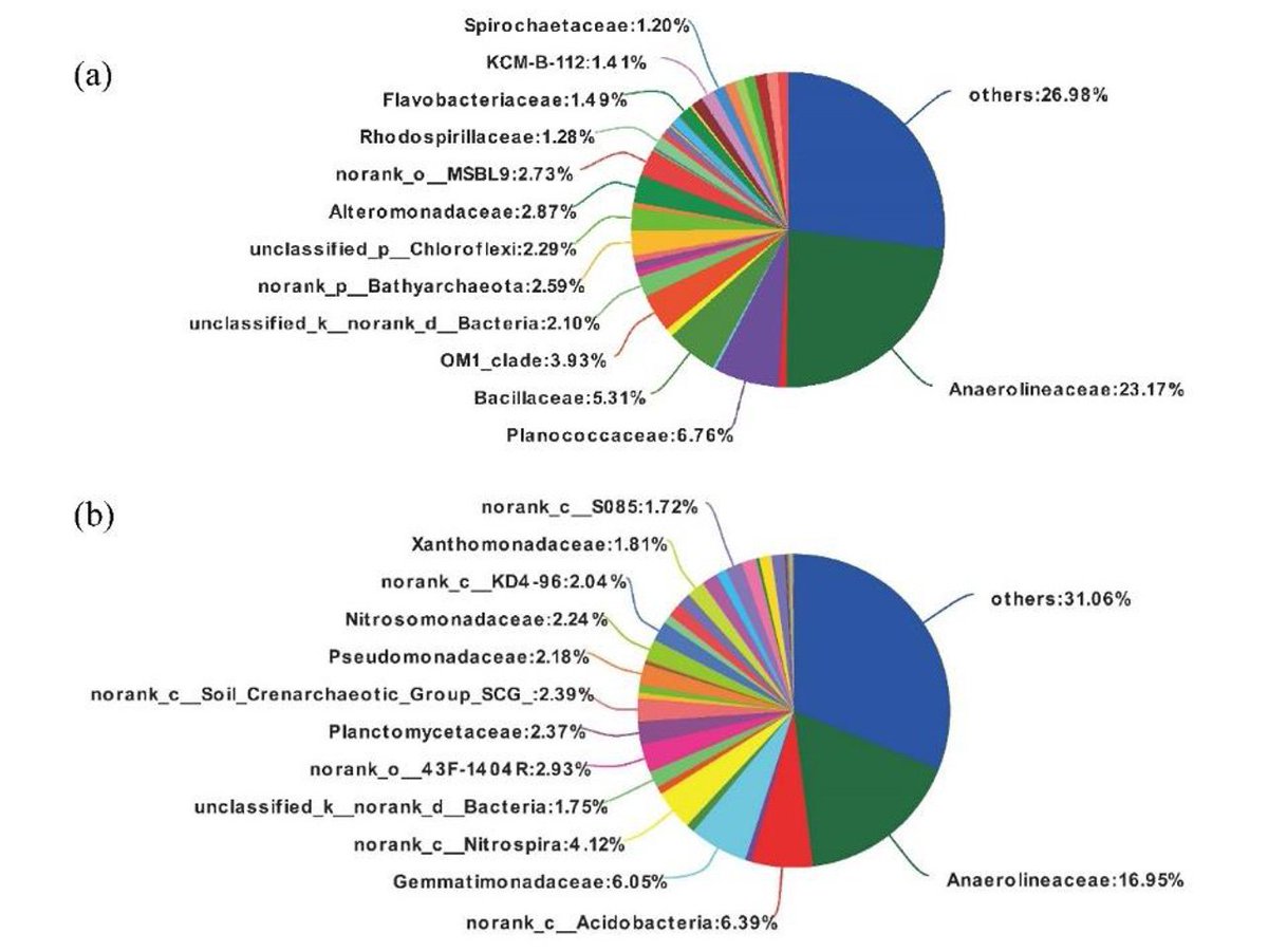 Pedosphere1991's tweet photo. #ResearchArticle
 "Effects of #OilContamination on #SoilCarbon composition and carbon cycling genes across depths" by Dr. Juejie Yang and colleagues from Beijing Forestry Univ.
🔗 https://t.co/u0JqbPrZ6j
 #Microbiome #Methanogenesis https://t.co/A727DNPjB5