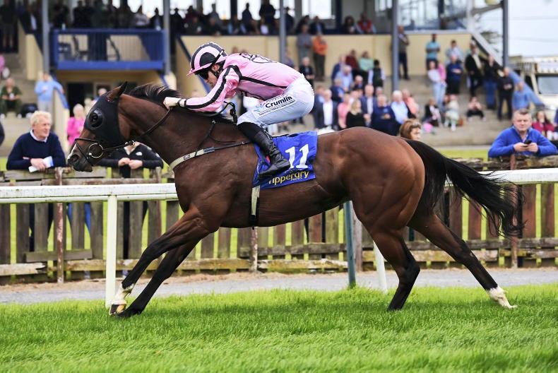 TheIrishField's tweet image. BREAKING: Sad news emerging from Del Mar this morning that She’s Quality has died overnight following her injury in the Breeders’ Cup Turf Sprint.

A terrific flagbearer for the Jack Davison team.

Full story to follow shortly on theirishfield.ie