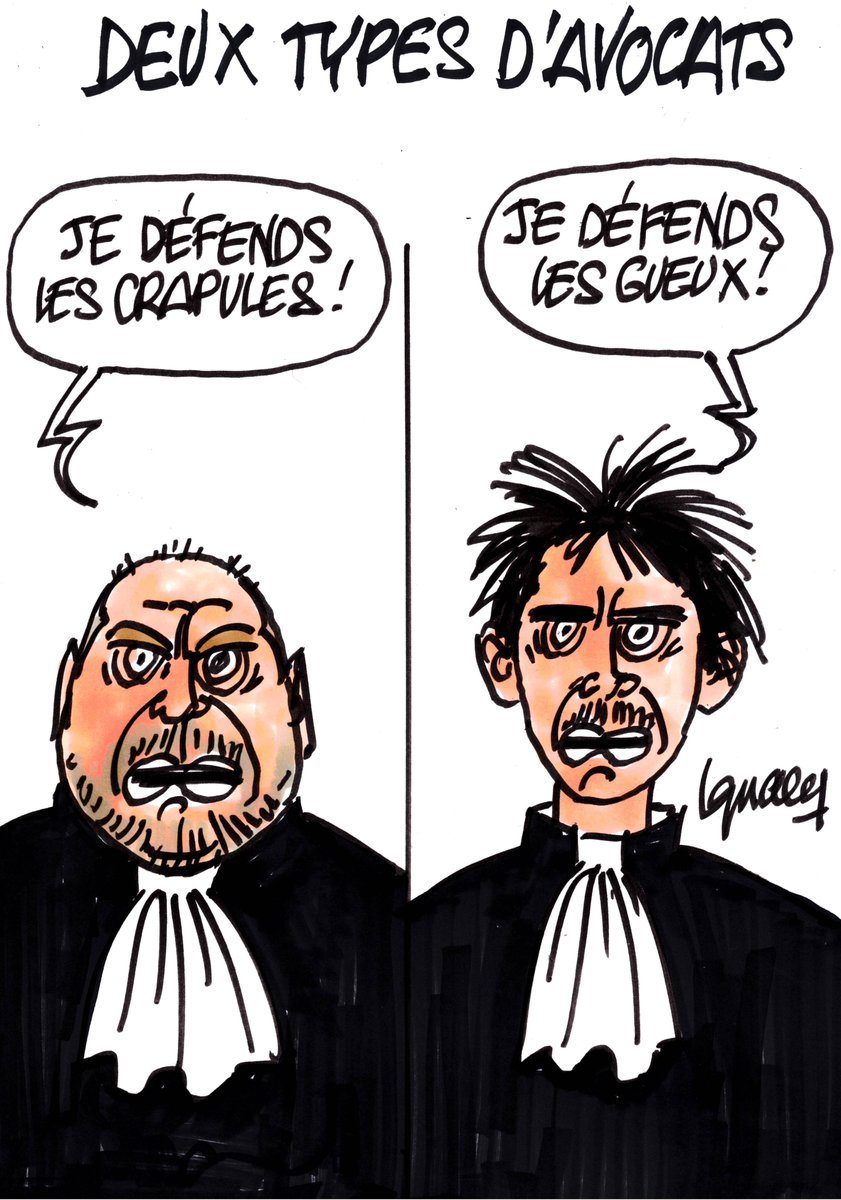 dessignace_'s tweet image. Ignace - Deux types d&apos;avocats

dessignace.com

#JuanBranco #DupondMoretti