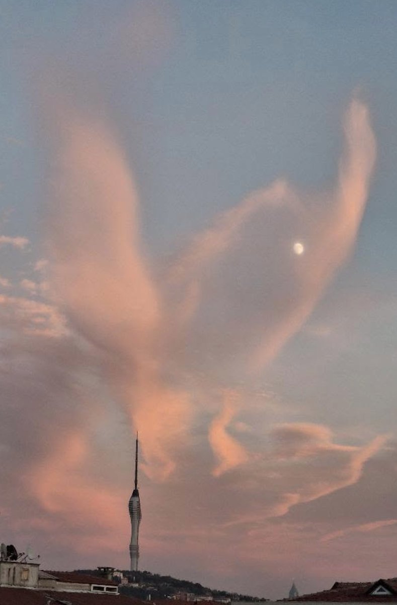 🔴 Ve Anka Görüldü.. Müjdelenen İstanbul'da..