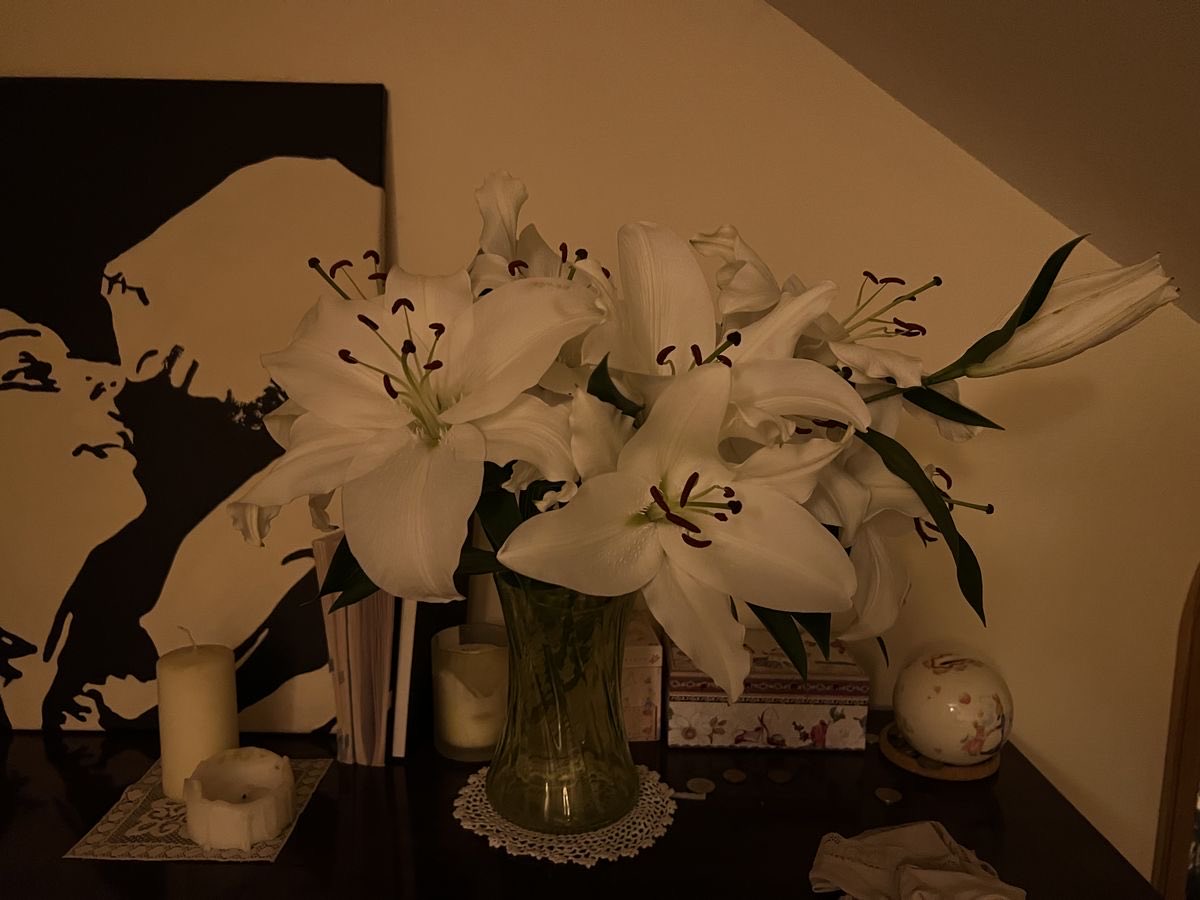 inreuo's tweet image. 