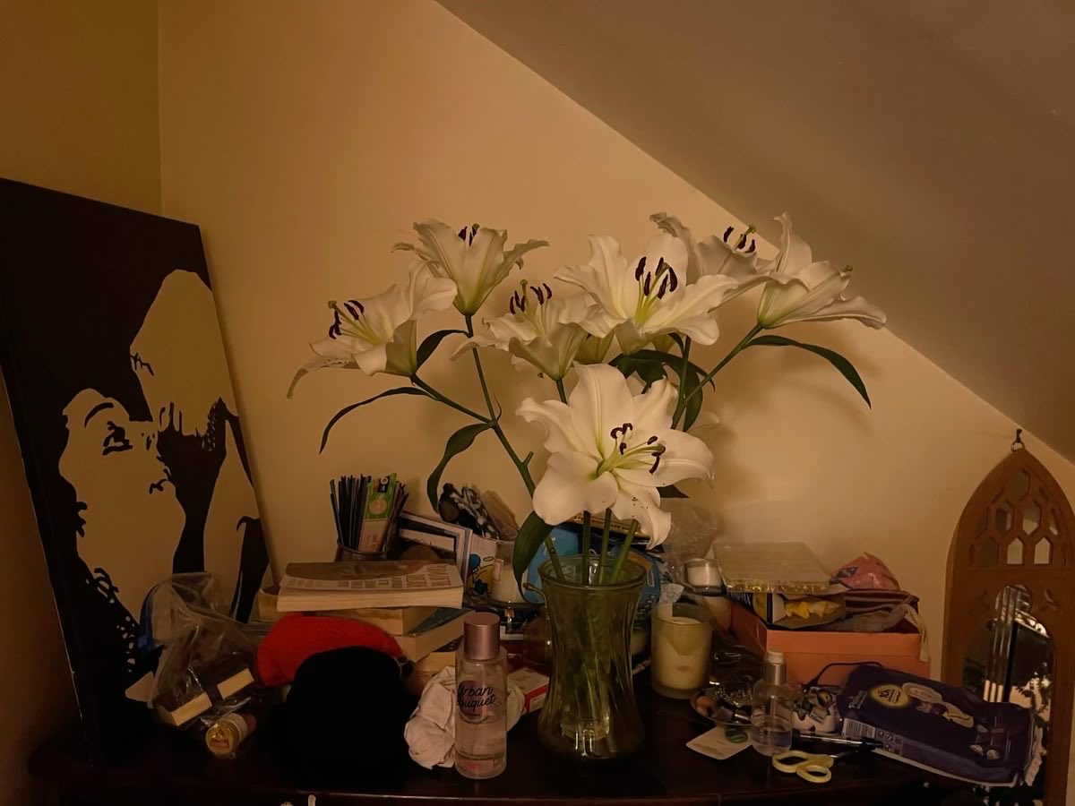 inreuo's tweet image. 