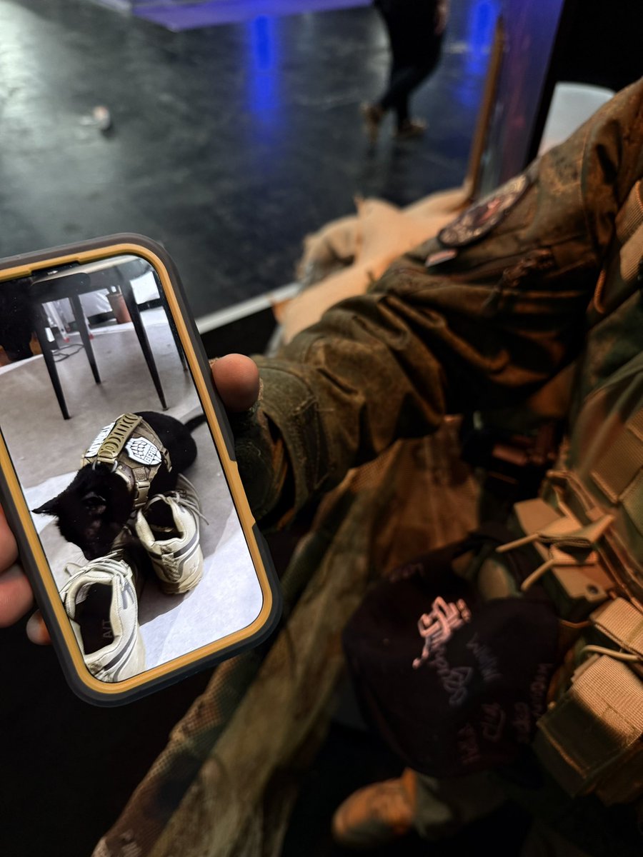 : mom, we need a hideout cat
mom: we have a hideout cat at home
hideout cat at home: