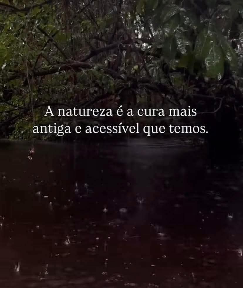 projetolixotec's tweet image. 