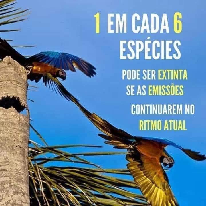 projetolixotec's tweet image. 