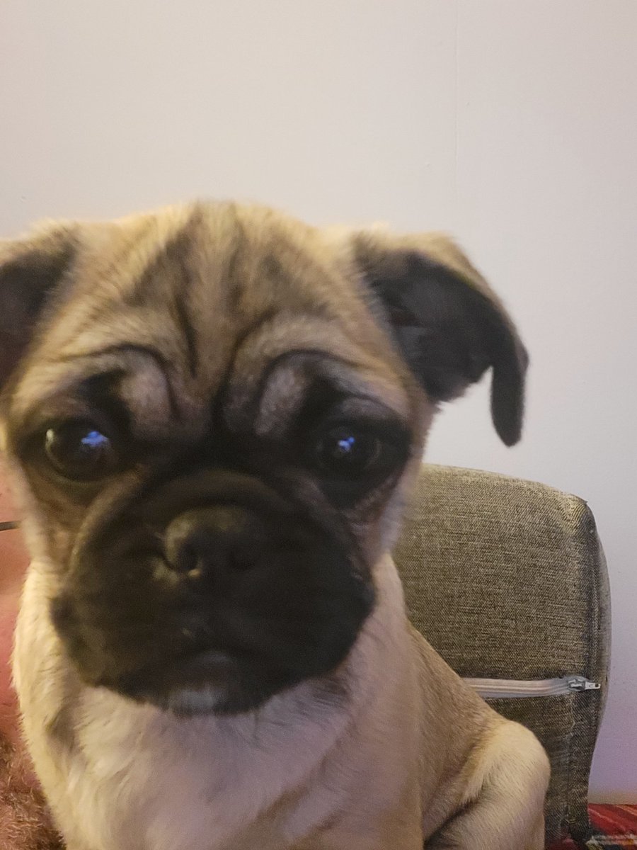 <a href="/AgatheDeblouz/">🎶🎵𝗔𝗴𝗮𝘁𝗵𝗲 𝗗𝗲𝗯𝗹𝗼𝘂𝘇🎵🎶</a> (quelle emmerdeuse celle-ci)
Oui regarde comme elle est mignonne 😁