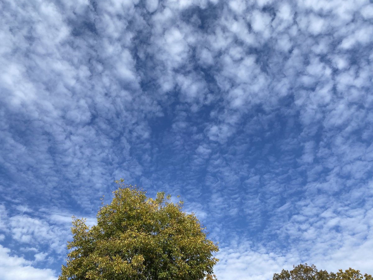 StarCreations's tweet image. Interesting sky…🤍