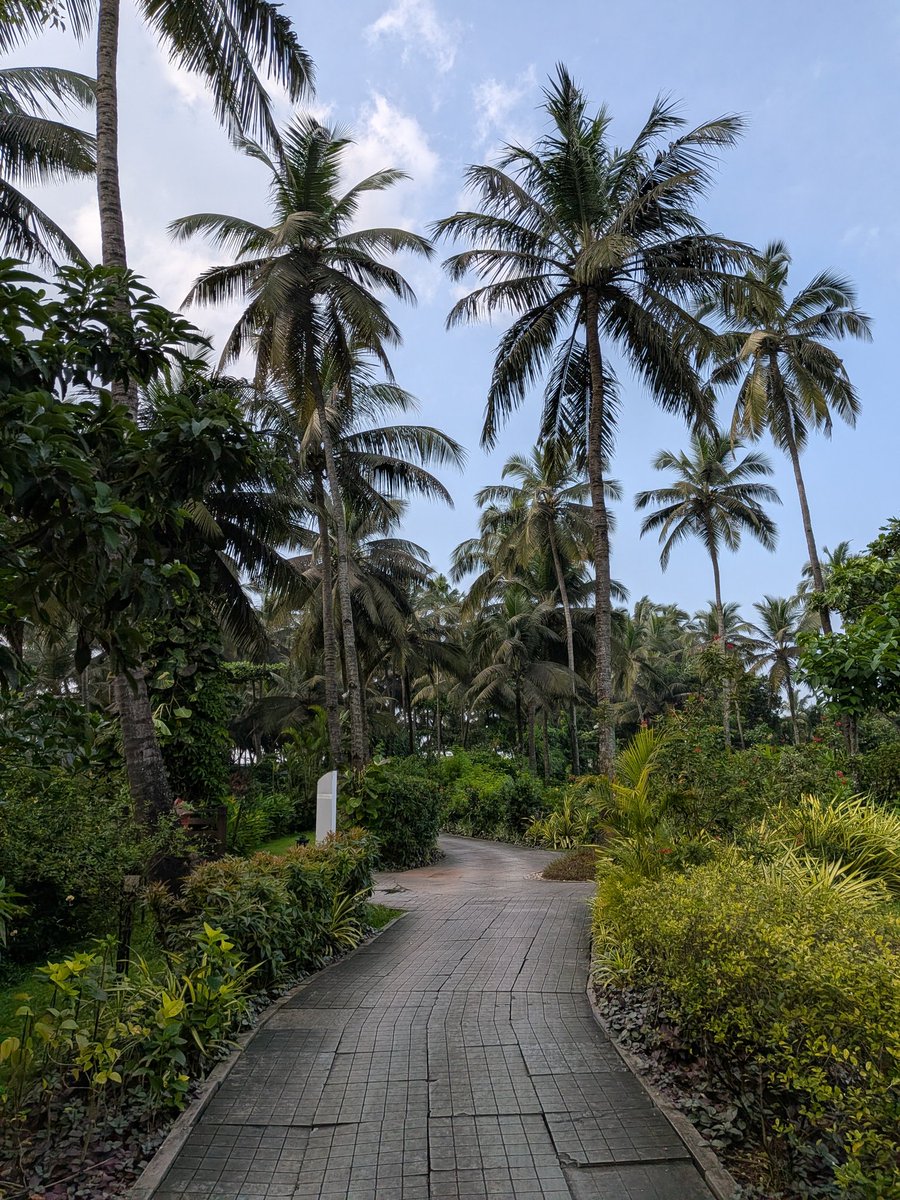 namans_26's tweet image. Had an amazing experience speaking at @react_india - kudos to @apheri0, @manjula_dube and rest of the organizing team! 😄🙌

The production quality (video / graphics / audio), in particular was top-notch - better than some of the top conferences in the US👌

#ReactIndia2025