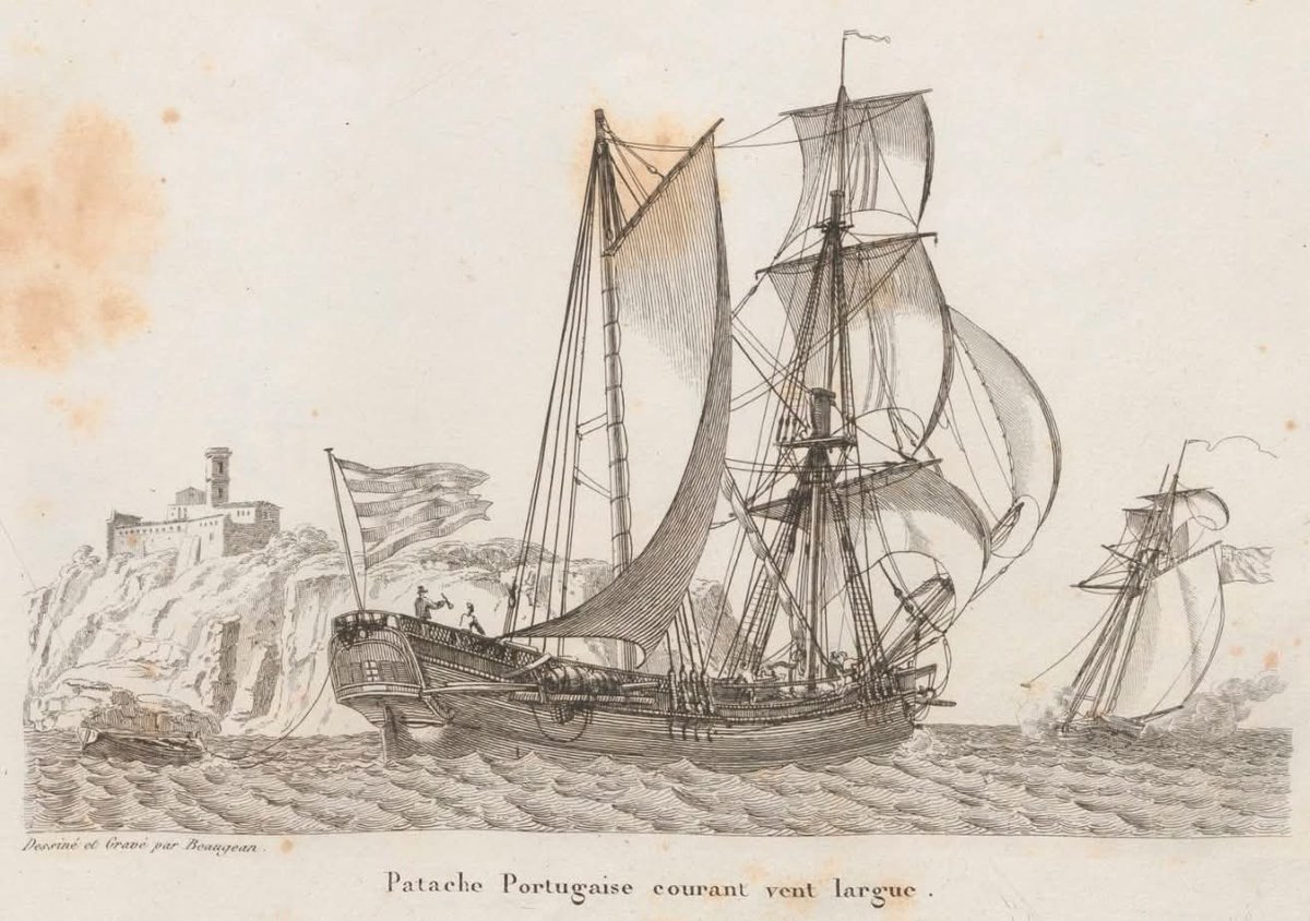 sailboat nationalism (@sloopstyles) on Twitter photo 