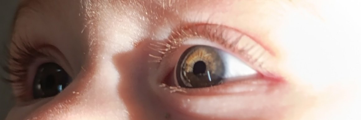 Allah'ım yeşili seviyorum diye hayatıma hediye ettiği en güzel yeşil 🍀💚