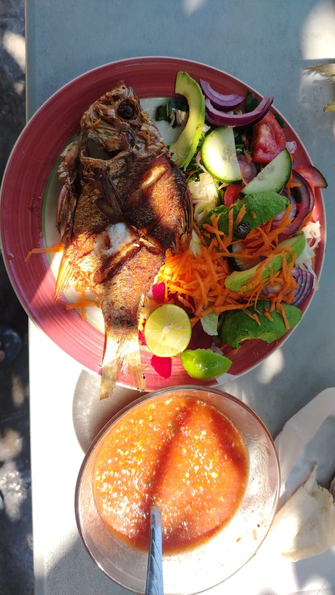 Hoy tengo ganas de birria