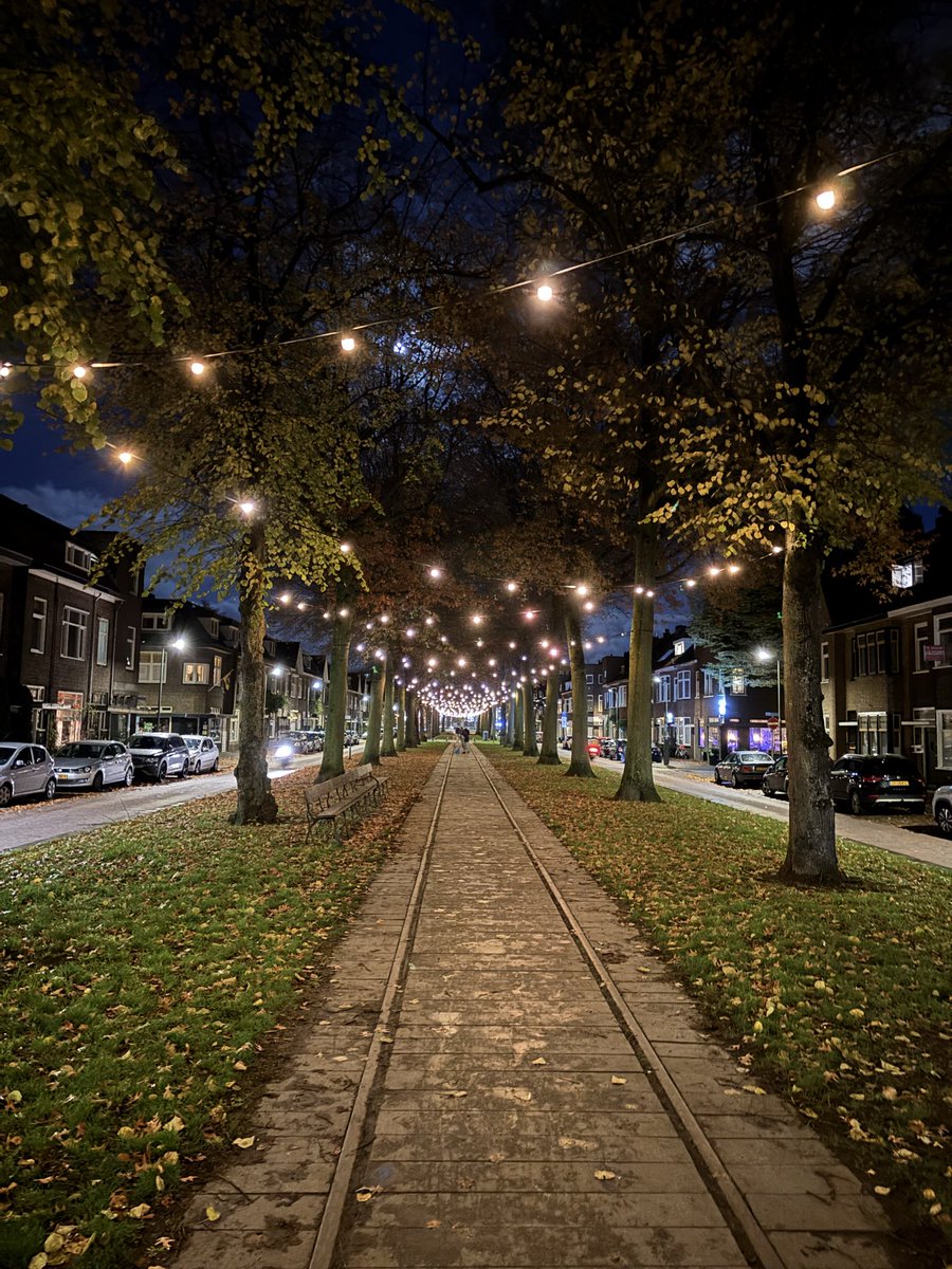 dimitriensing's tweet image. Lampjes hangen weer in de bomen van de Speelhuislaan, wat blijft het toch geweldig om dit te zien #Breda #Belcrum
