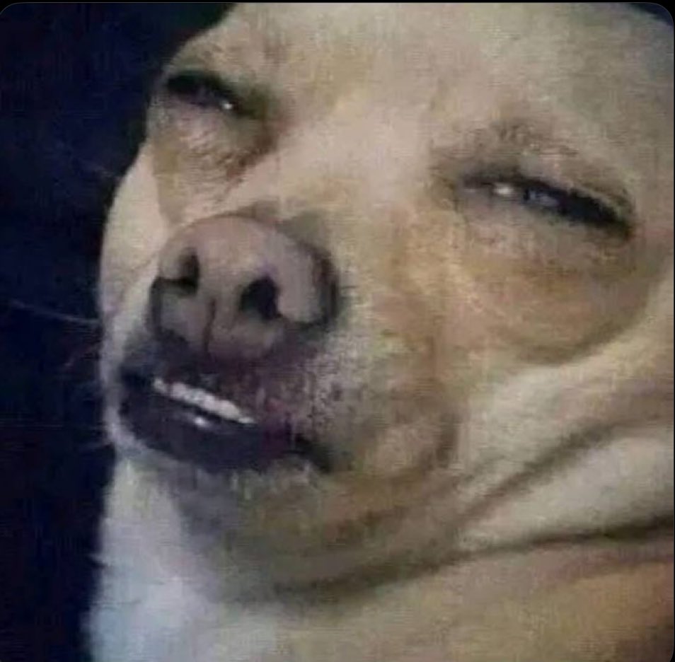 "Yaz donusela" hau Jub Jub 🤣🤣🤣

#Uyajola99