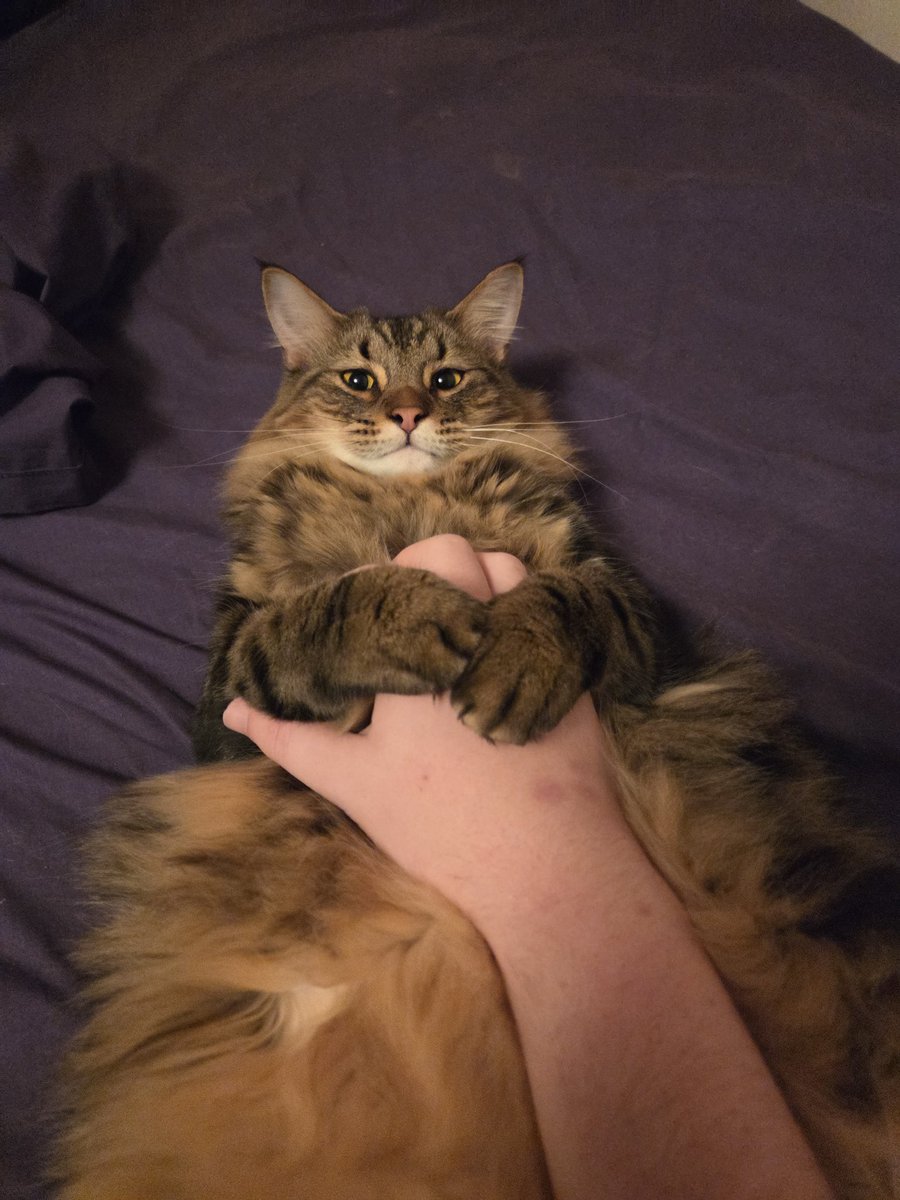 HellionTuck tweet media