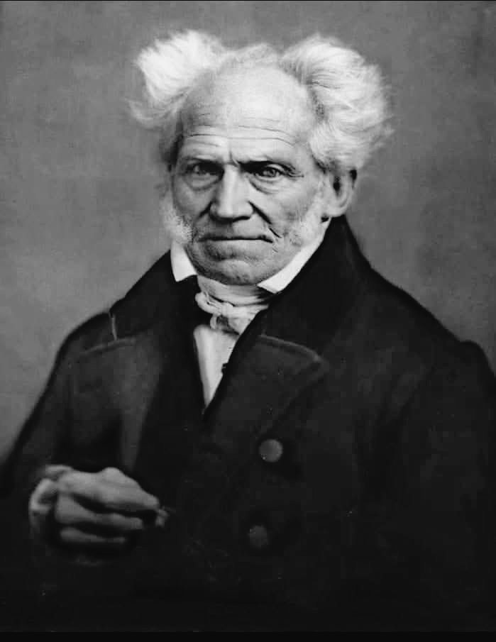 الشرف لا يجب أن يُكتسَب، بل يجب فقط ألا يُفْقَد ".

➖️ شوبنهاور