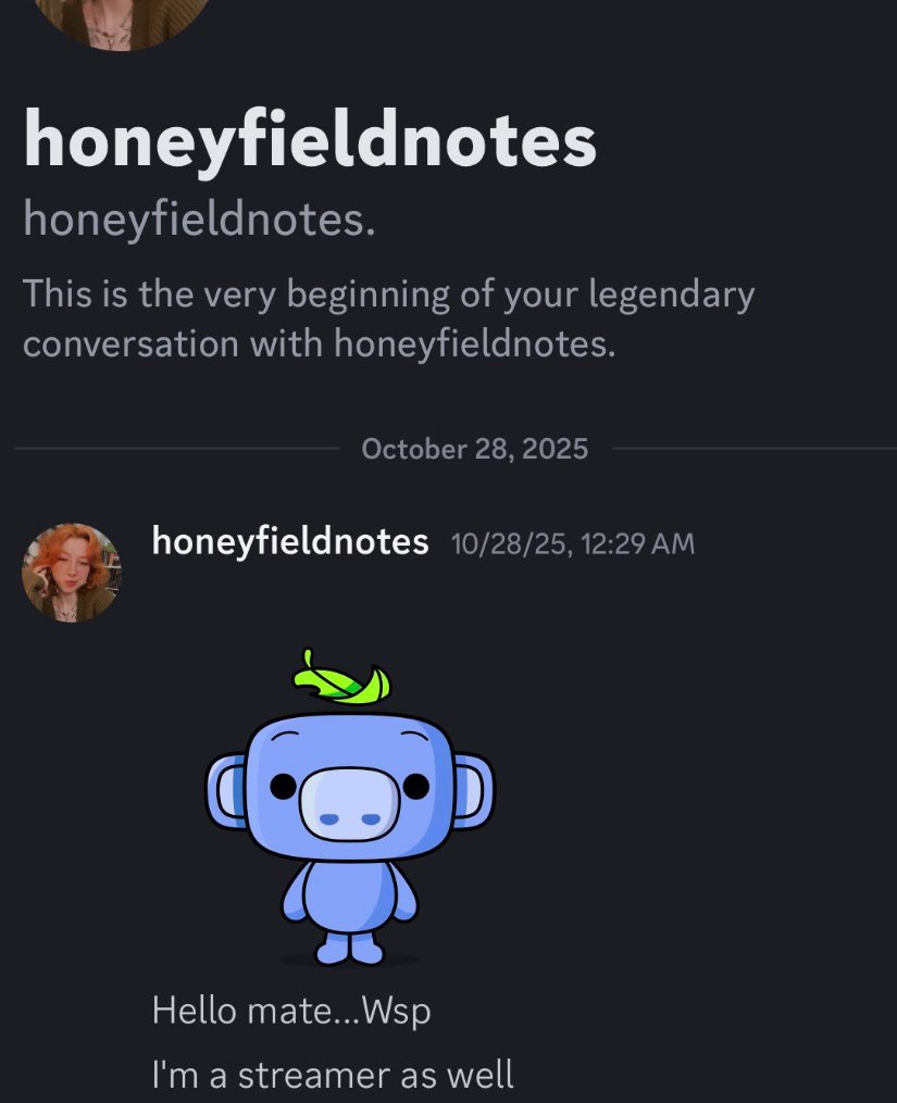 Honey || Content creator 🍉➡️ Dream Hack UK tweet media