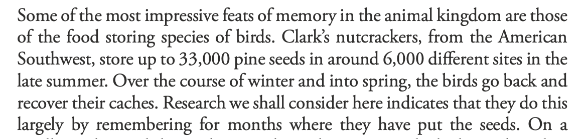 Stephan Bridger tweet media