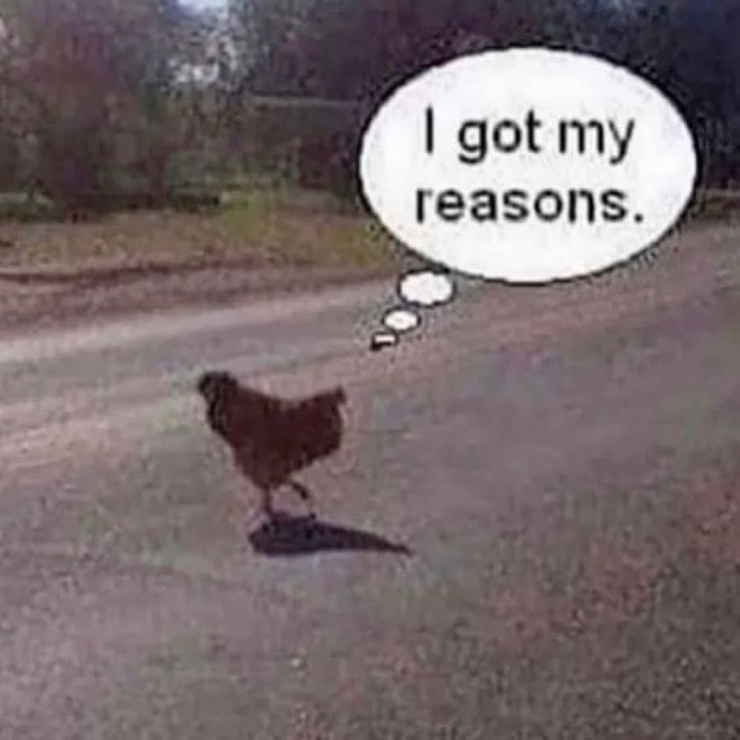 MagnetBallBlog's tweet image. fml