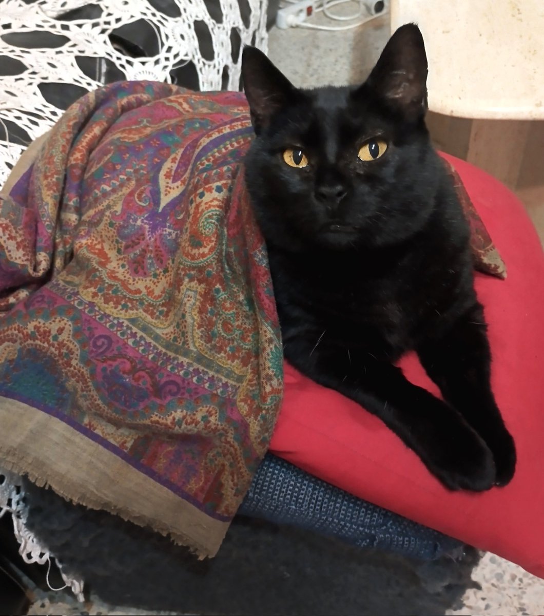 La Kala en plan reina.