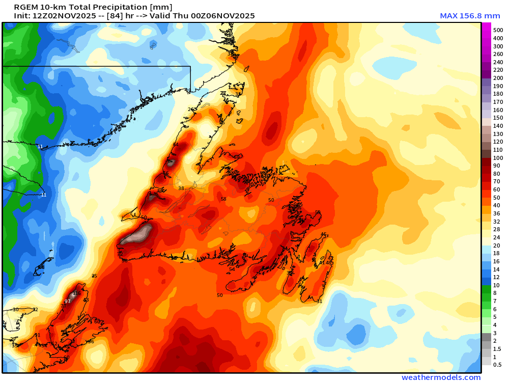 Kelly Butt  tweet media