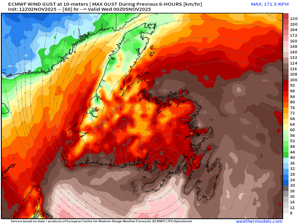Kelly Butt  tweet media