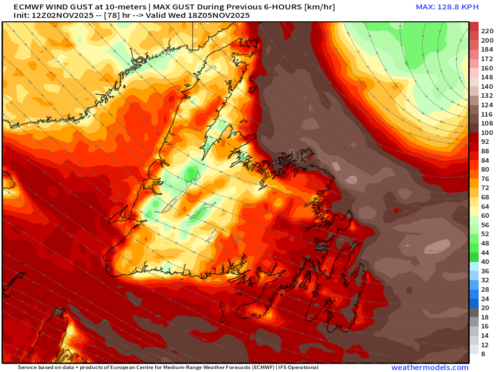 Kelly Butt  tweet media
