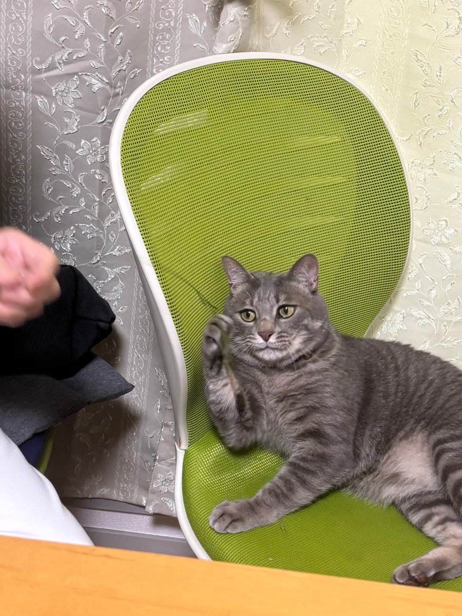 むむページ gorham147f-03.jpg