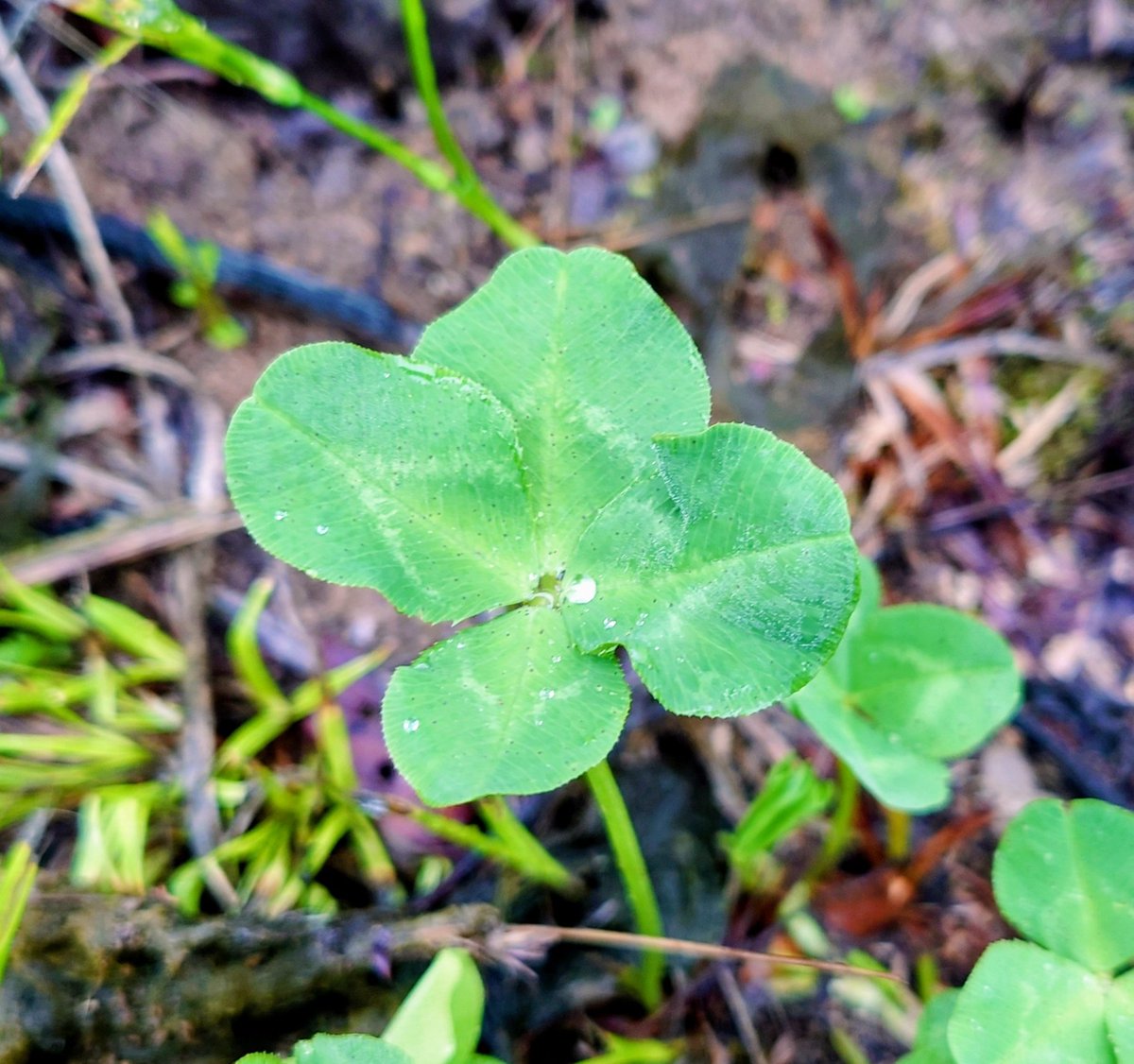 ハル (@haru195) / Posts / X