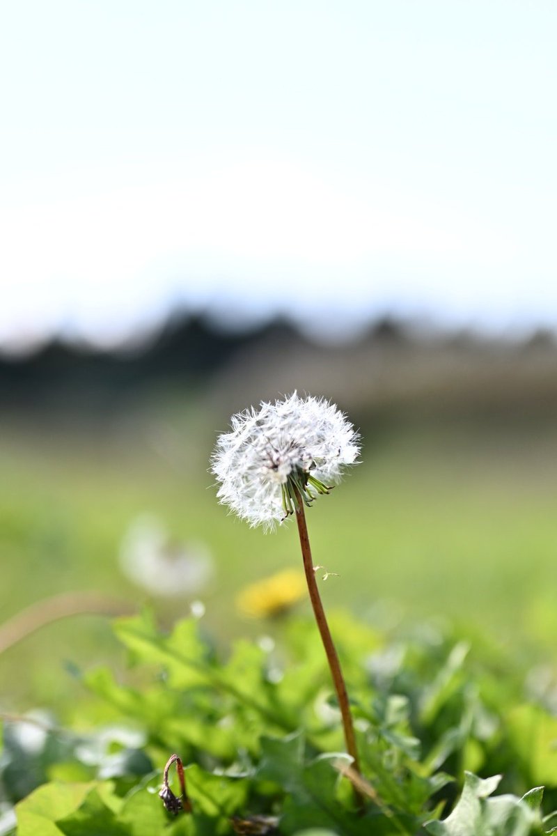 byCouC6CSAiq9MV's tweet image. 蜘蛛が絡んでます😢
 #z5Ⅱ
 #カメラ好きな人と繋がりたい
 #写真好きな人と繋がりたい 
 #写真で伝える私の世界 
 #カメラ
 #写真