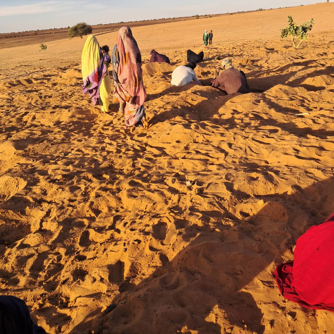 AzizMaigaNMP's tweet photo. Mali 🇲🇱 GAO/ Bonne nouvelle : D’après plusieurs sources concordantes et vérifiées, un site minier a été découvert ce 2 novembre par des résidents du #Tilemsi.
Sur certaines vidéos circulant déjà, l’on peut constater un attroupement naissant autour du site. @AzizMaigaNMP https://t.co/eAaQrz6rUj