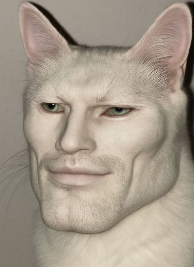 توییتر مجبوری منو دوست داشته باشی