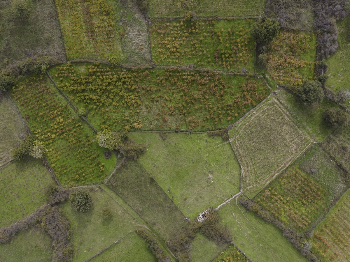 tonydeli7's tweet image. The vines of Anemotia

📷: DJI Mavic Air 2
🧑‍💻: Lightroom

Explore my work at: 
antonisdeligiannis.com

#mavicair #djimavic  #dronephotography #mavicair2 #dji #djiphotography #photonetmagazine #aerial #midilli #eresos #abstract