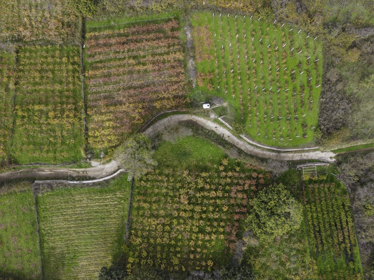 tonydeli7's tweet image. The vines of Anemotia

📷: DJI Mavic Air 2
🧑‍💻: Lightroom

Explore my work at: 
antonisdeligiannis.com

#mavicair #djimavic  #dronephotography #mavicair2 #dji #djiphotography #photonetmagazine #aerial #midilli #eresos #abstract