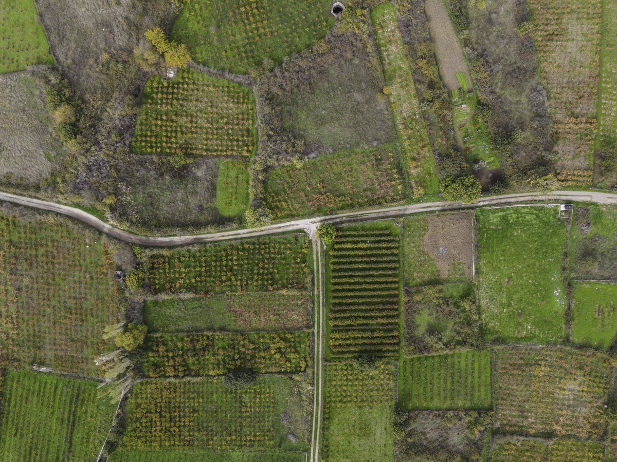 tonydeli7's tweet image. The vines of Anemotia

📷: DJI Mavic Air 2
🧑‍💻: Lightroom

Explore my work at: 
antonisdeligiannis.com

#mavicair #djimavic  #dronephotography #mavicair2 #dji #djiphotography #photonetmagazine #aerial #midilli #eresos #abstract