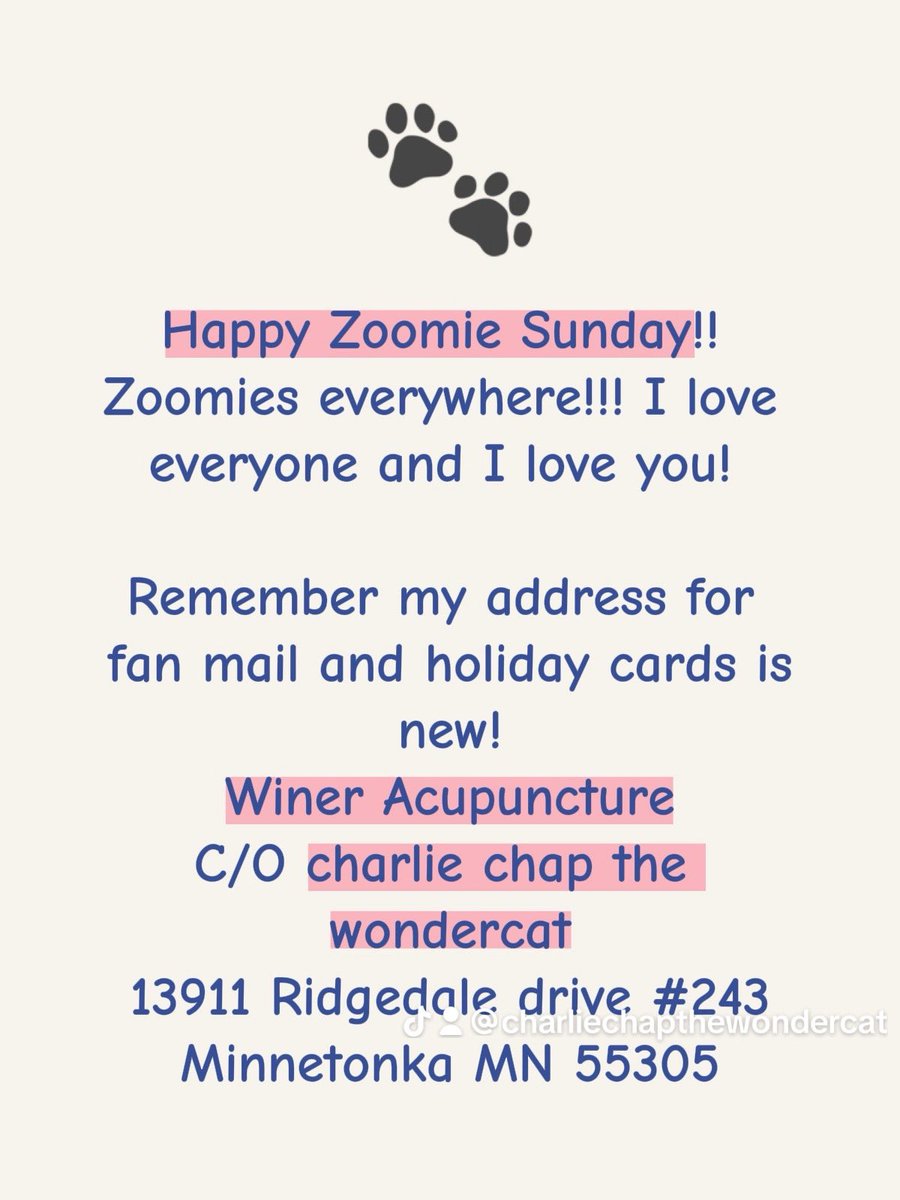 meetcharliechap's tweet image. New address for fan mail and holiday cards! Yay!!! I love mail! I am so grateful for everyone who loves me soooo much! Because I love you too and I love to make you smile😺❤️ #cats #catsoftiktok #fyp #charliechaptwc #mail #catsoffacebook #cat #holidayseason #instagood
