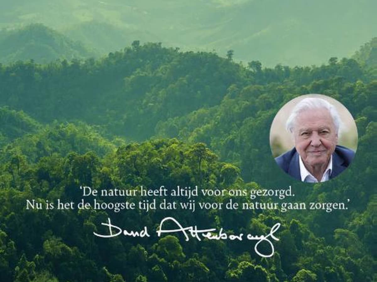 Mark Tuit (@tuitmark) on Twitter photo 