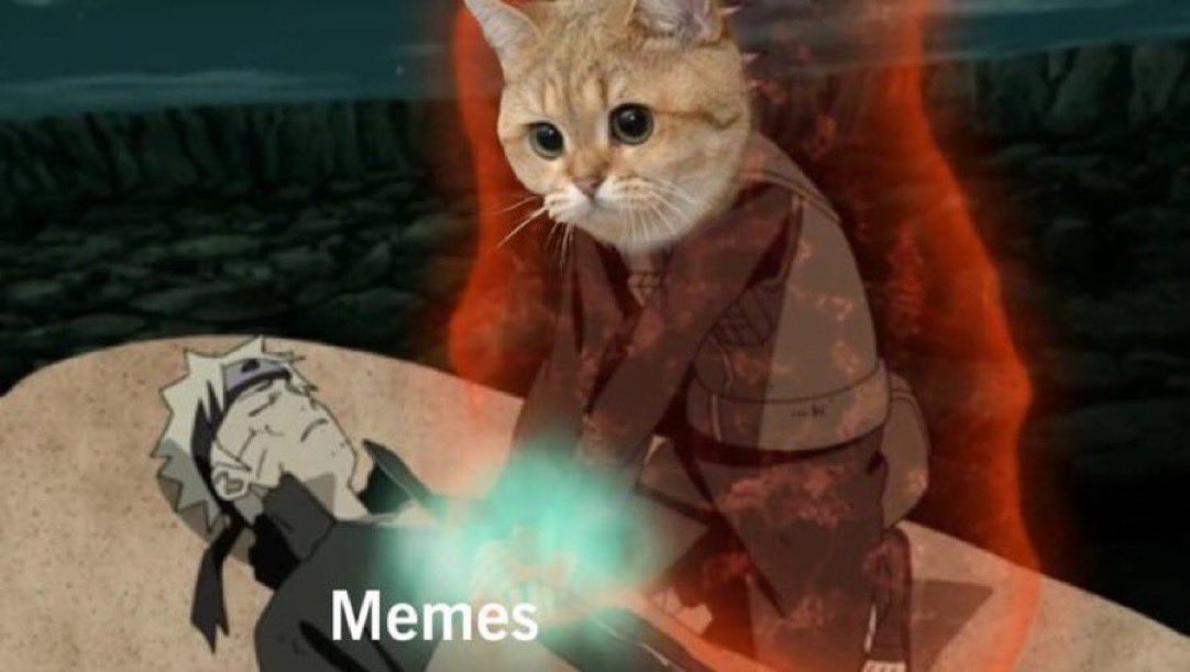 It’s time to make good memes great again.

$STARECAT is infinitely memeable with deep lore dating back to the early 2000’s. 

It was one of the most popular memes on 4chan with PEPE, DOGE, and TROLL.

There are not many newer coins out that will succeed. But with the community,