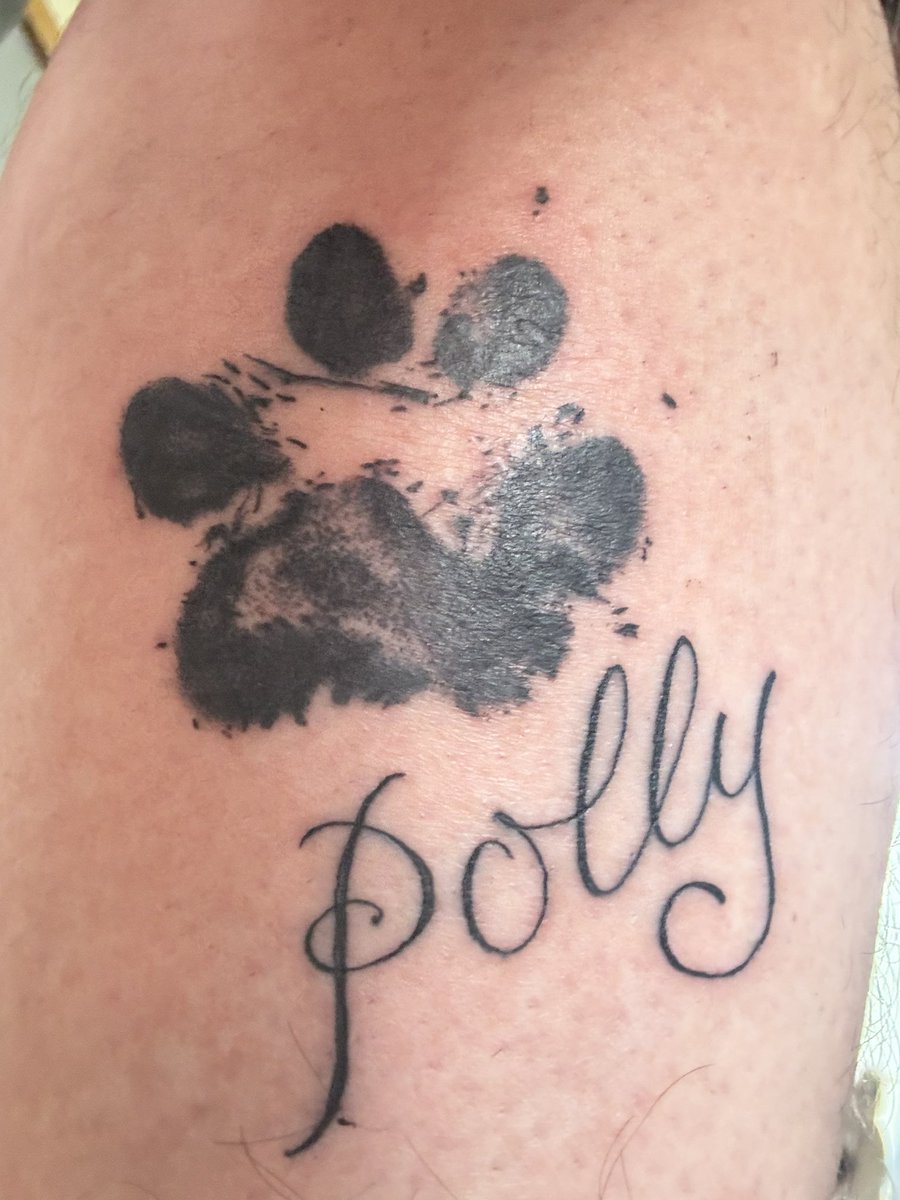 PugPugpolly's tweet photo. I live on, on my daddas leg. https://t.co/AStf5WiI4y