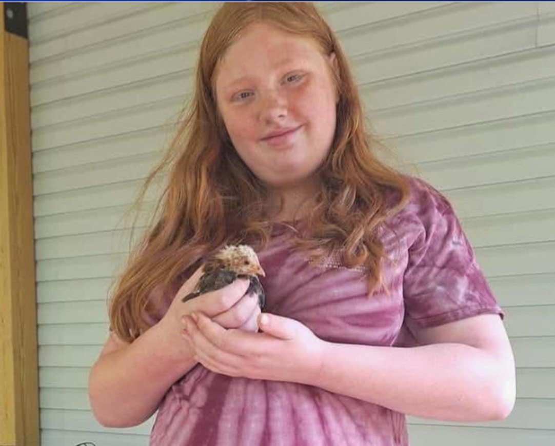 trashcatavenue's tweet image. ‼️AMBER ALERT‼️
15 year old Neveah H. Patton, "last seen leaving in a vehicle on Harrell Road in Bakersfield."