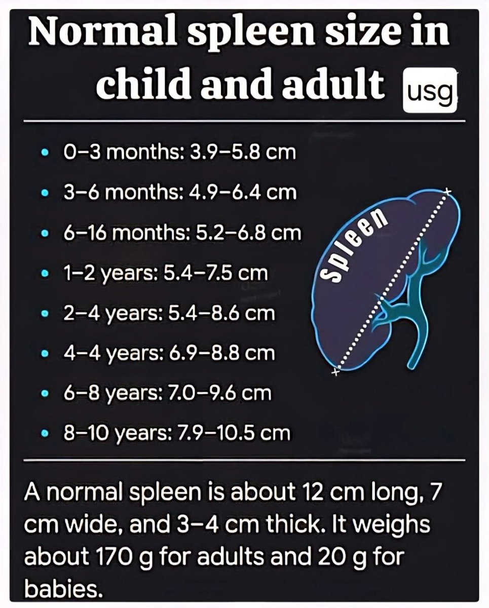 Spleen Ultrasound Normal Size spleen-ultrasound-normal-size