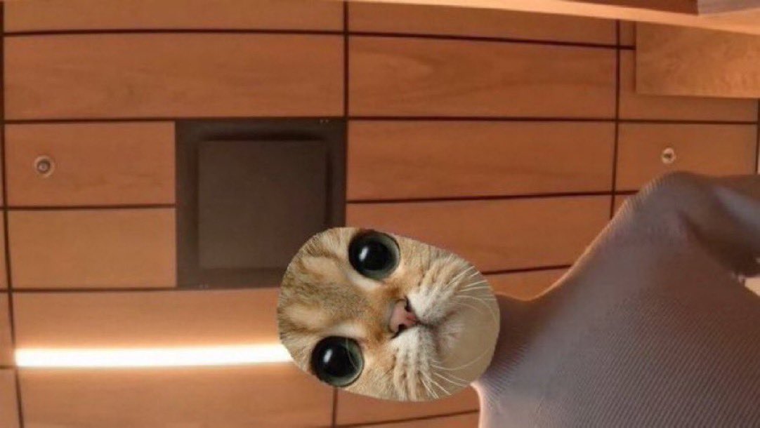 you’ve been given a generational entry on $STARECAT

there is now 50.81% supply locked by the dev and whale holders.

this is one of the very few newer community coins that will emerge as a winner when the market turns risk on.

7MiLCuSZfLoTAK7S7CztrLV75kC3rfJULEmDNUx5pump